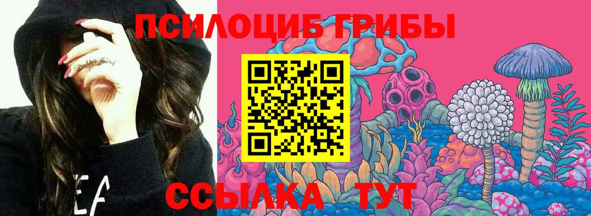 Псилоцибиновые грибы MAGIC MUSHROOMS Улан-Удэ