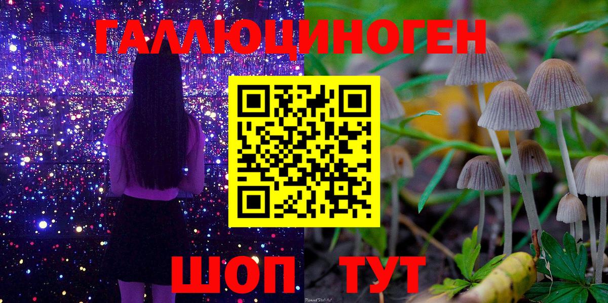 Улан-Удэ  Галлюциногенные грибы Psilocybe  Вход с VPN  Галлюциногенные грибы GOLDEN TEACHER 